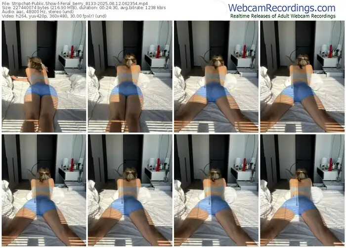 stripchat-feral_berry_8133-08-12-2025-06-23-54