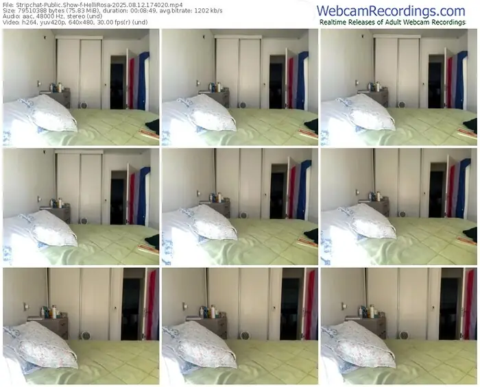 stripchat-hellirosa-08-12-2025-17-40-20