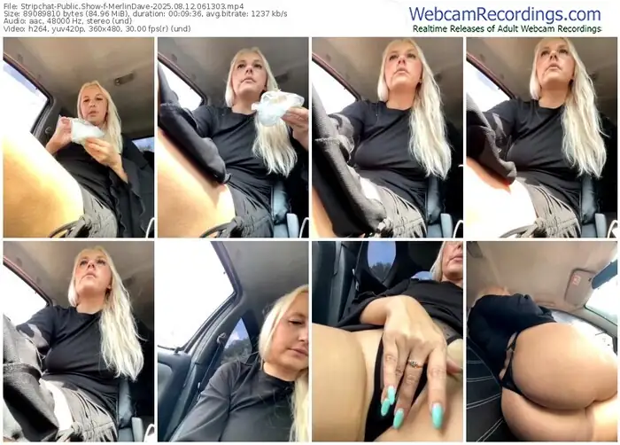 stripchat-merlindave-08-12-2025-06-13-03