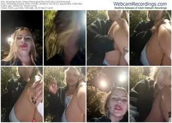 stripchat-misscata1106-08-12-2025-02-00-44