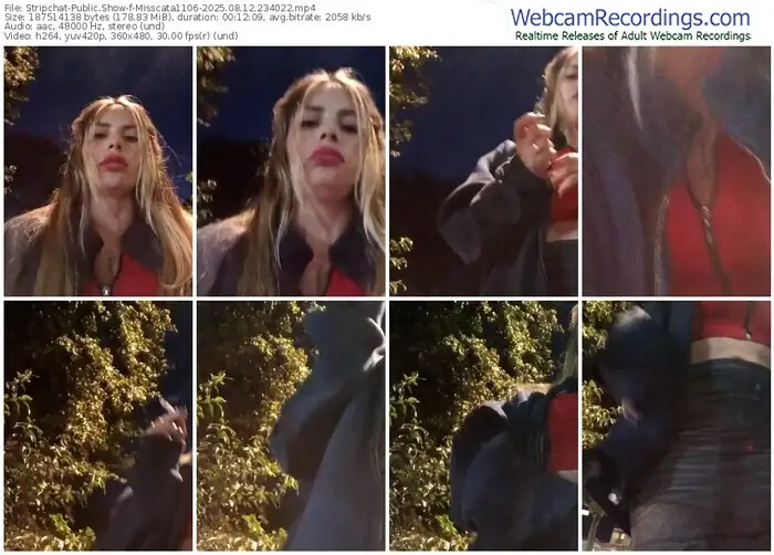 stripchat-misscata1106-08-12-2025-23-40-22