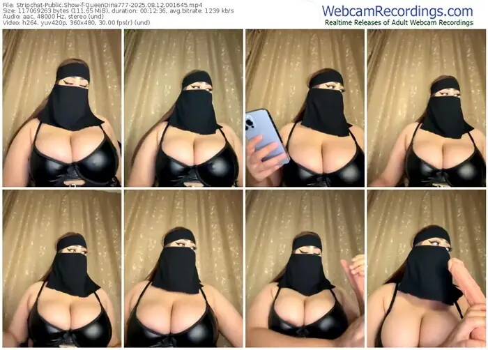 stripchat-queendina777-08-12-2025-00-16-45
