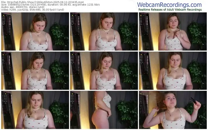stripchat-sibleyallston-08-12-2025-22-34-35