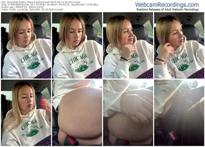 stripchat-stasywood-08-12-2025-01-40-10