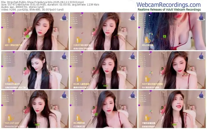 stripchat-vaidurya-yolo-08-12-2025-13-15-03