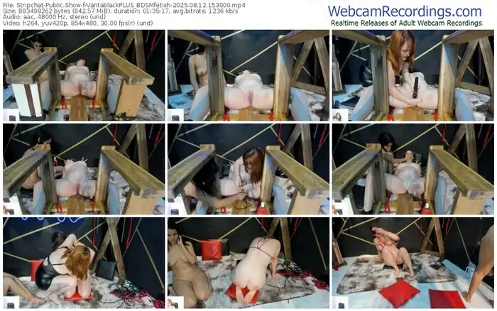 stripchat-vantablackplus_bdsmfetish-08-12-2025-15-30-00