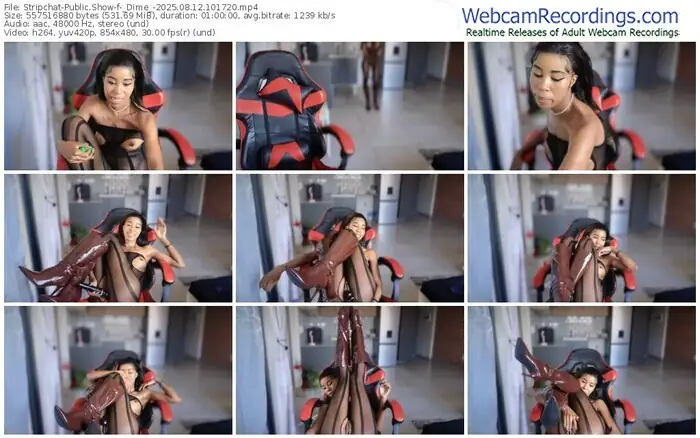 stripchat-_dime_-08-12-2025-10-17-20