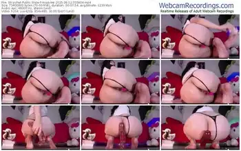 stripchat-miaa-lee-08-12-2025-05-58-04