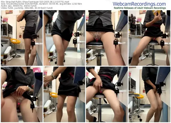 stripchat-penquan-520-08-12-2025-01-57-51