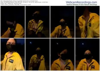 stripchat-syy9999-08-12-2025-17-12-44