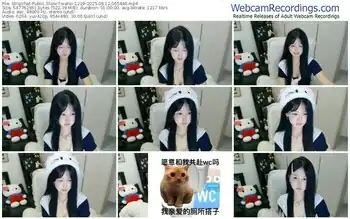 stripchat-wanzi-1229-08-12-2025-06-54-46