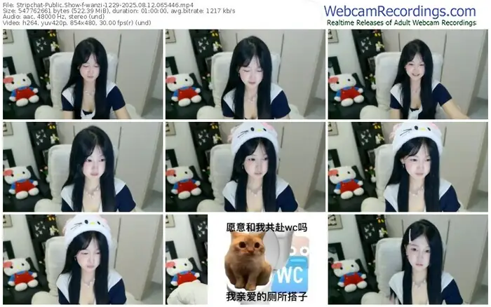 stripchat-wanzi-1229-08-12-2025-06-54-46
