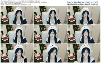 stripchat-wanzi-1229-08-12-2025-09-49-32