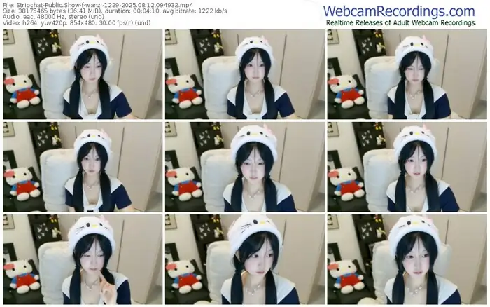 stripchat-wanzi-1229-08-12-2025-09-49-32