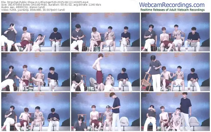 stripchat-little-tiger520-08-12-2025-14-19-05