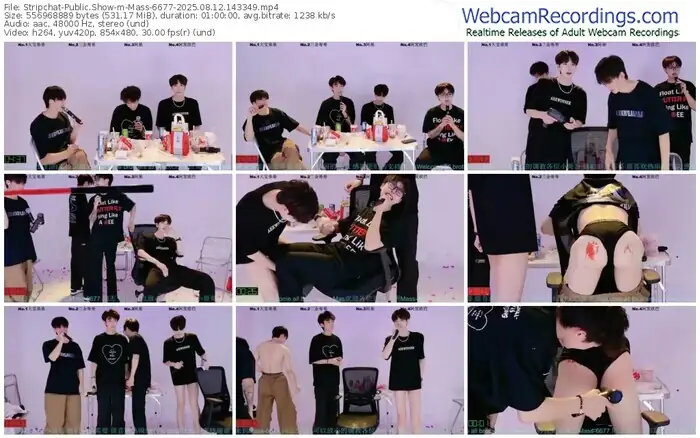 stripchat-mass-6677-08-12-2025-14-33-49