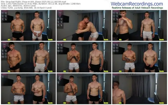 stripchat-nik_sharp-08-12-2025-19-03-39