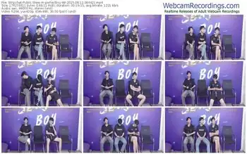 stripchat-perfectboy-88-08-12-2025-08-44-21