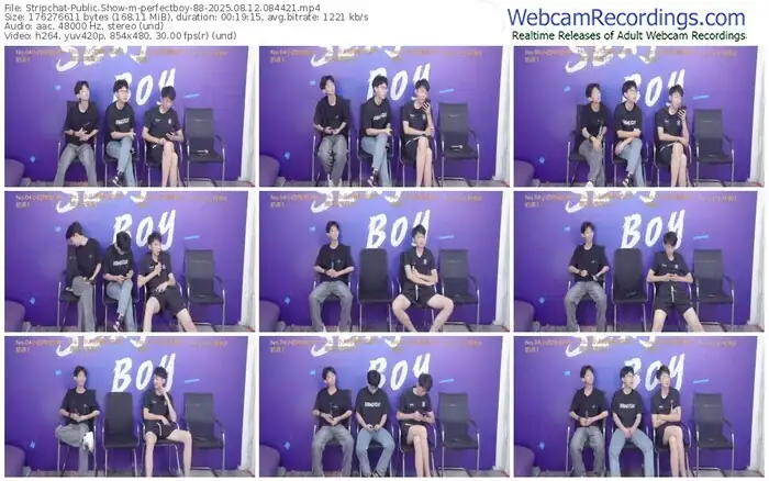 stripchat-perfectboy-88-08-12-2025-08-44-21
