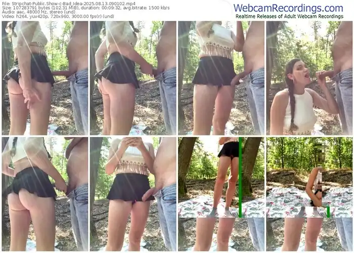 stripchat-bad_idea-08-13-2025-09-01-02