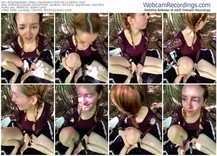 stripchat-fayeflame-08-13-2025-08-06-11