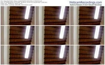 stripchat-martshall09-08-13-2025-23-16-34