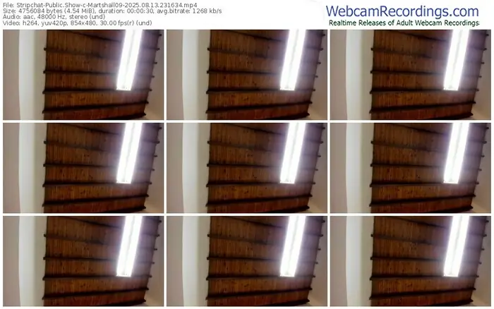 stripchat-martshall09-08-13-2025-23-16-34