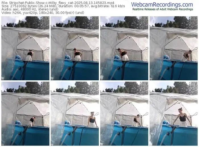 stripchat-milky_flexy_cat-08-13-2025-14-58-23