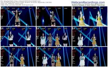 stripchat-ssl119-08-13-2025-15-04-47