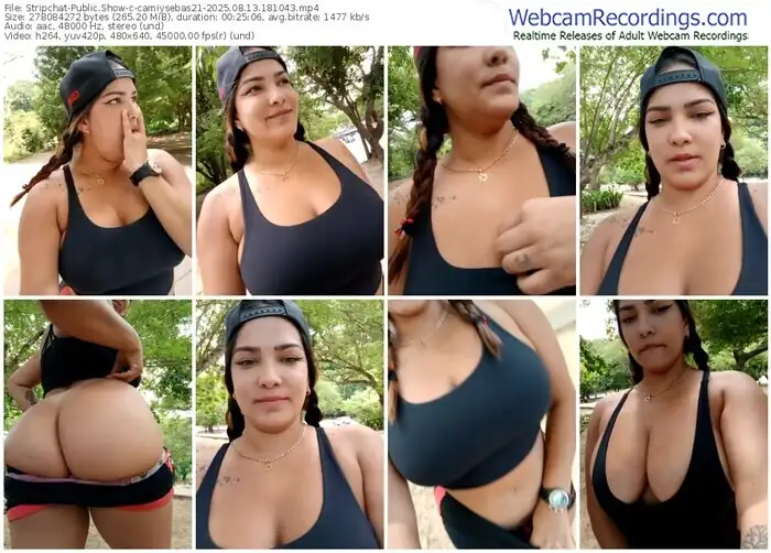 stripchat-camiysebas21-08-13-2025-18-10-43