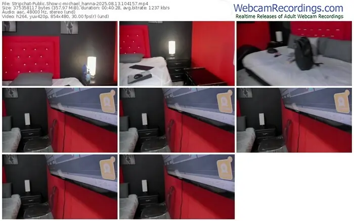 stripchat-michael_hanna-08-13-2025-10-41-57