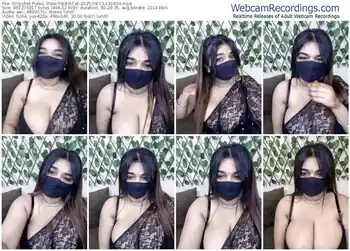 stripchat-bold-cat-08-13-2025-19-16-04