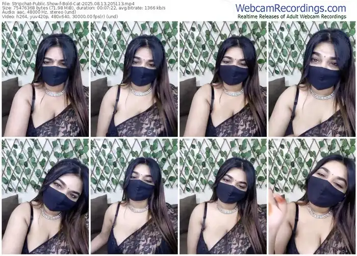 stripchat-bold-cat-08-13-2025-20-51-13