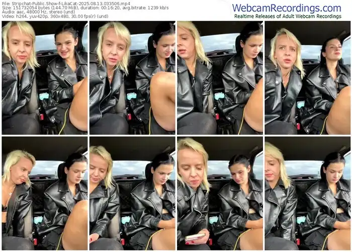 stripchat-likacat-08-13-2025-03-35-06