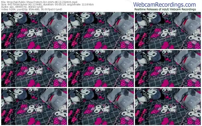 stripchat-savyloly-08-13-2025-23-26-15