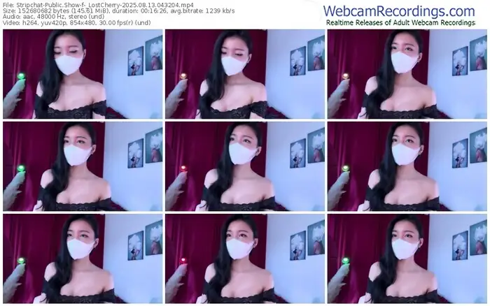 stripchat-_lostcherry-08-13-2025-04-32-04