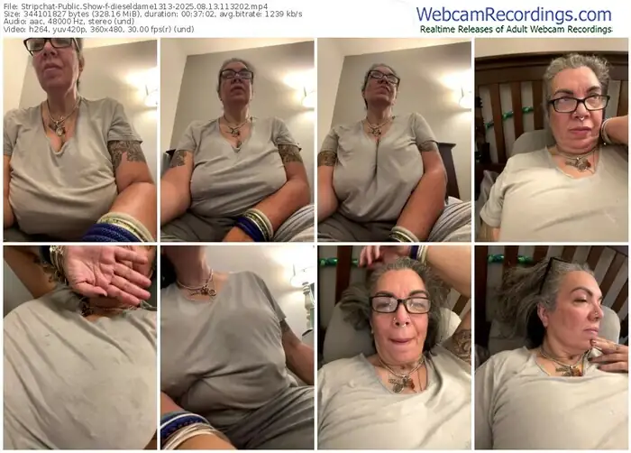 stripchat-dieseldame1313-08-13-2025-11-32-02