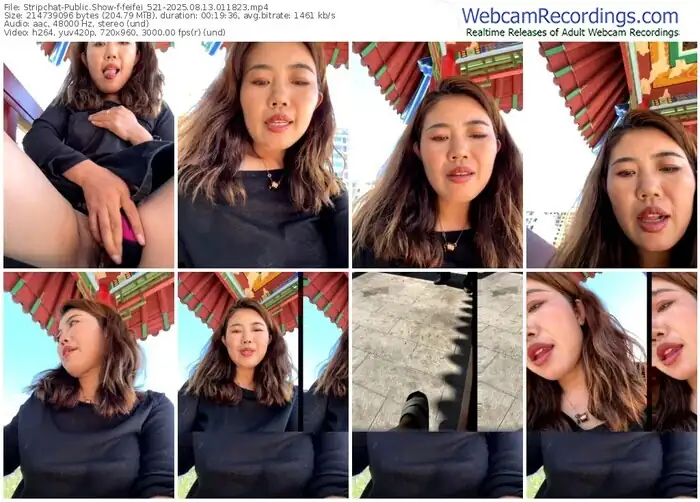 stripchat-feifei_521-08-13-2025-01-18-23
