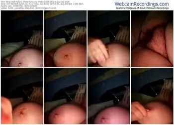 stripchat-poussychats-08-13-2025-22-23-11