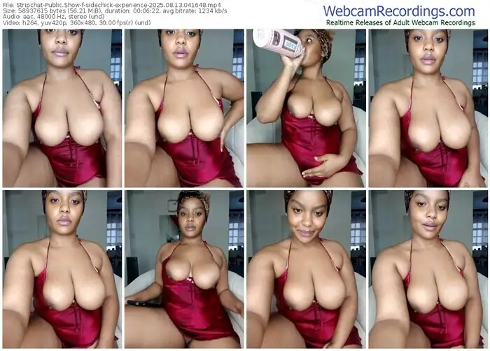 stripchat-sidechick-experience-08-13-2025-04-16-48