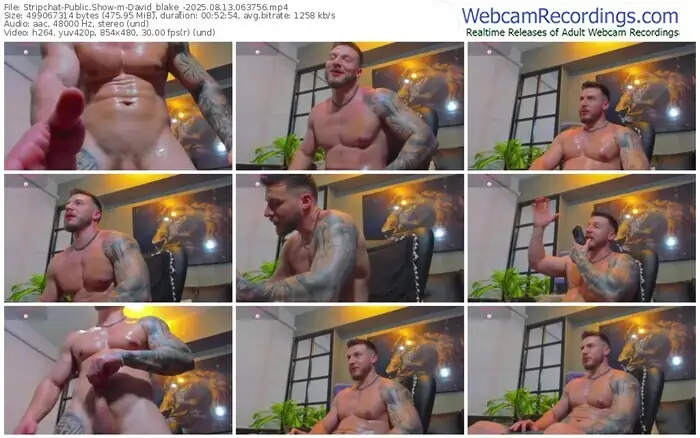 stripchat-david_blake_-08-13-2025-06-37-56