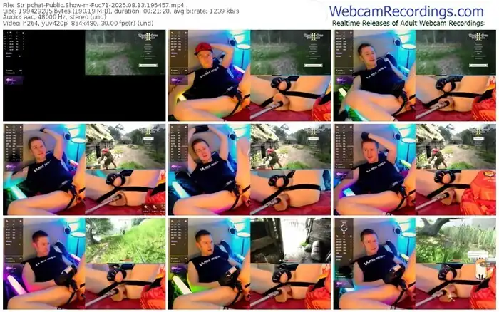 stripchat-fuc71-08-13-2025-19-54-57