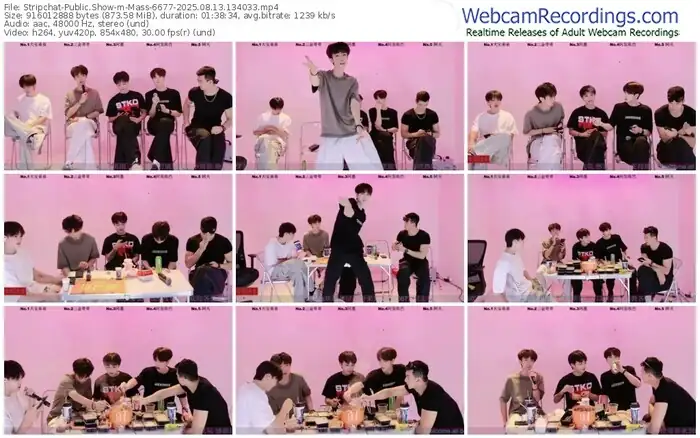 stripchat-mass-6677-08-13-2025-13-40-33