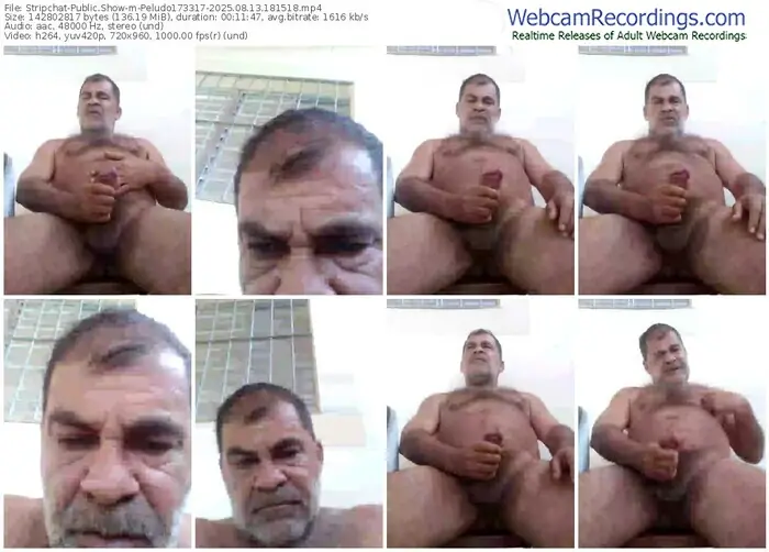 stripchat-peludo173317-08-13-2025-18-15-18