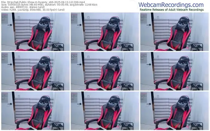 stripchat-hyeony_s96-08-13-2025-12-13-39