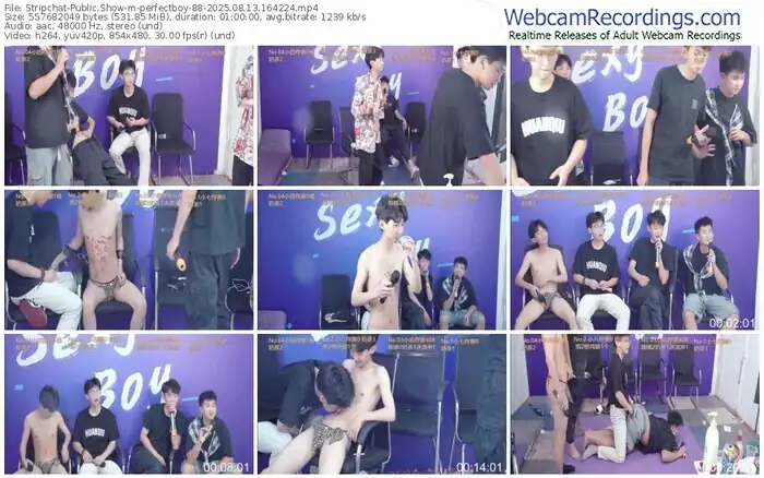 stripchat-perfectboy-88-08-13-2025-16-42-24