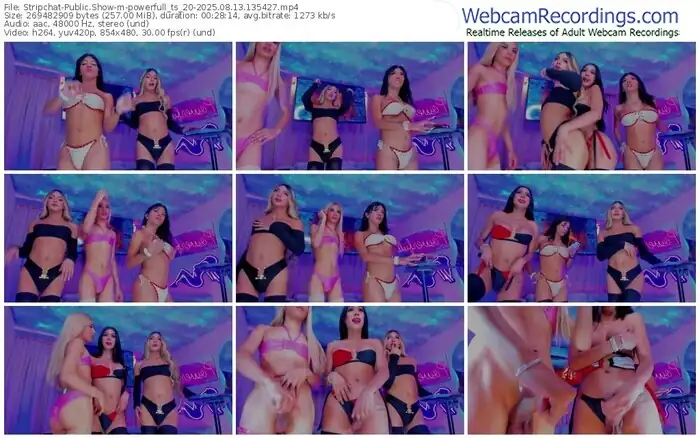 stripchat-powerfull_ts_20-08-13-2025-13-54-27
