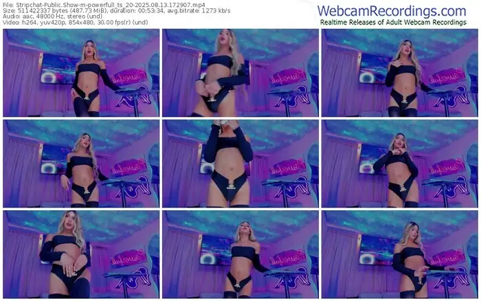 stripchat-powerfull_ts_20-08-13-2025-17-29-07
