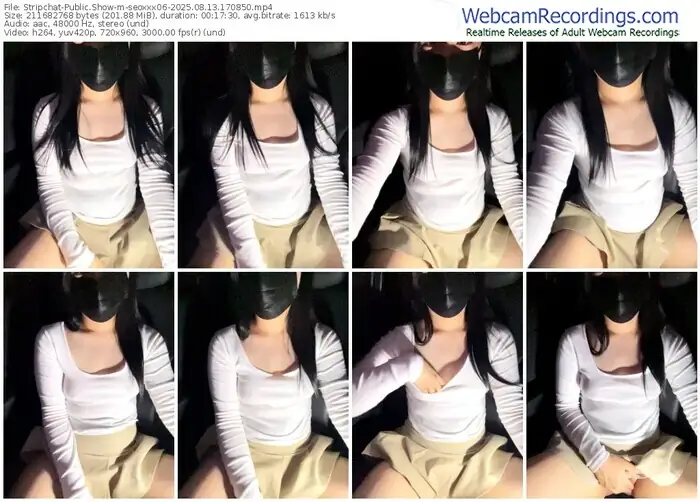 stripchat-seoxxx06-08-13-2025-17-08-50