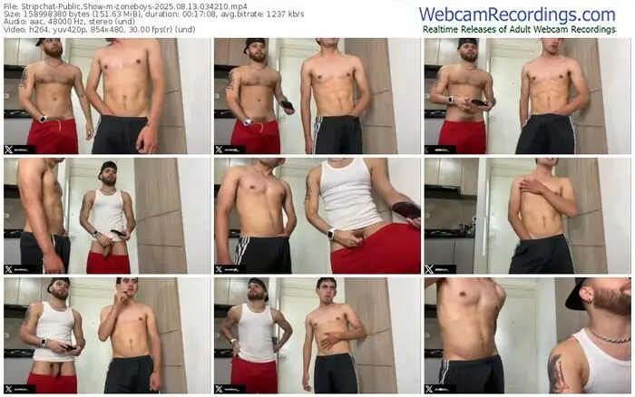 stripchat-zoneboys-08-13-2025-03-42-10